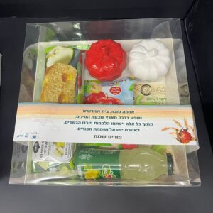 מסיבת תפוחים 21/2